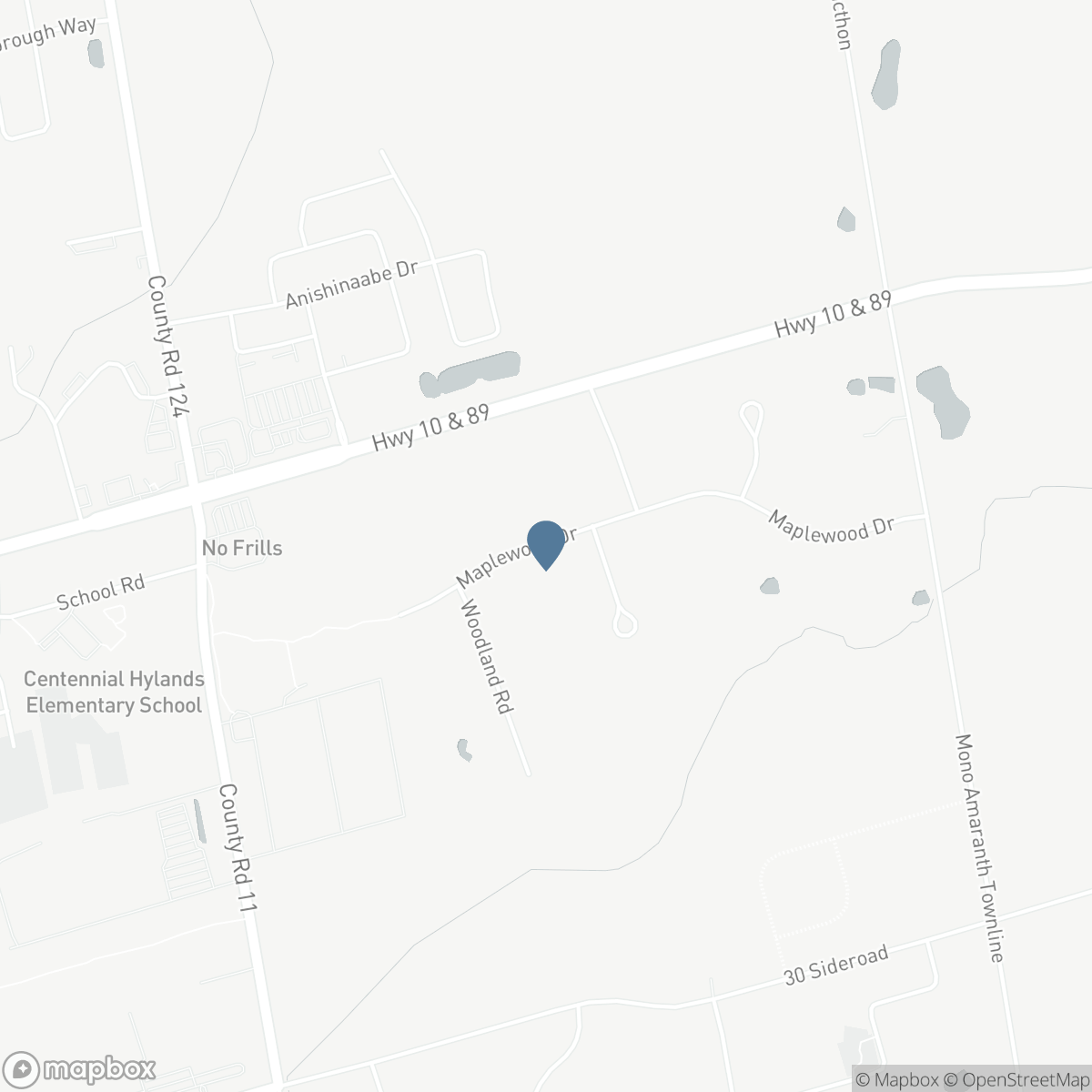 49 MAPLEWOOD DRIVE, Amaranth, Ontario L9V 3N6